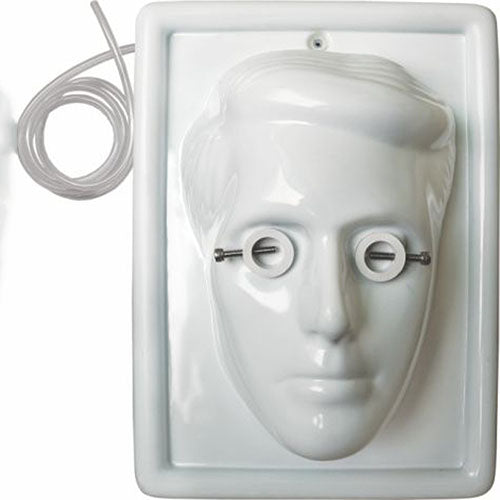 Phaco Practice Eye Fixation Head